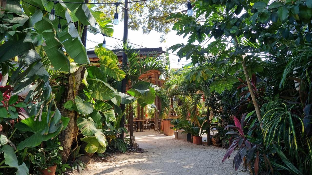 Zulu Surf Hotel Tamarindo Exterior photo